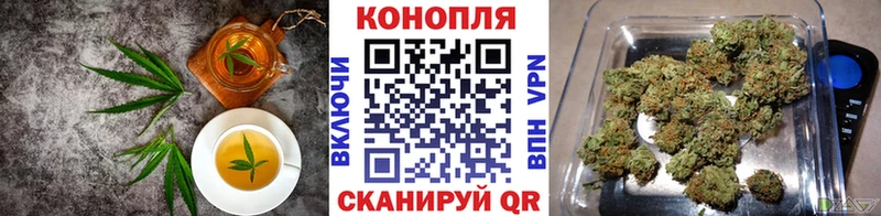 Canna-Cookies марихуана  kraken как зайти  Минусинск 