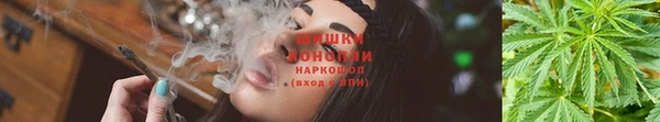соль курить ск Богданович