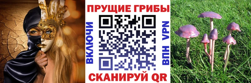 Псилоцибиновые грибы мухоморы  Минусинск 
